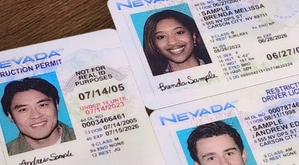 How Much for a Duplicate Driver’s License? Cost, Process & Requirements