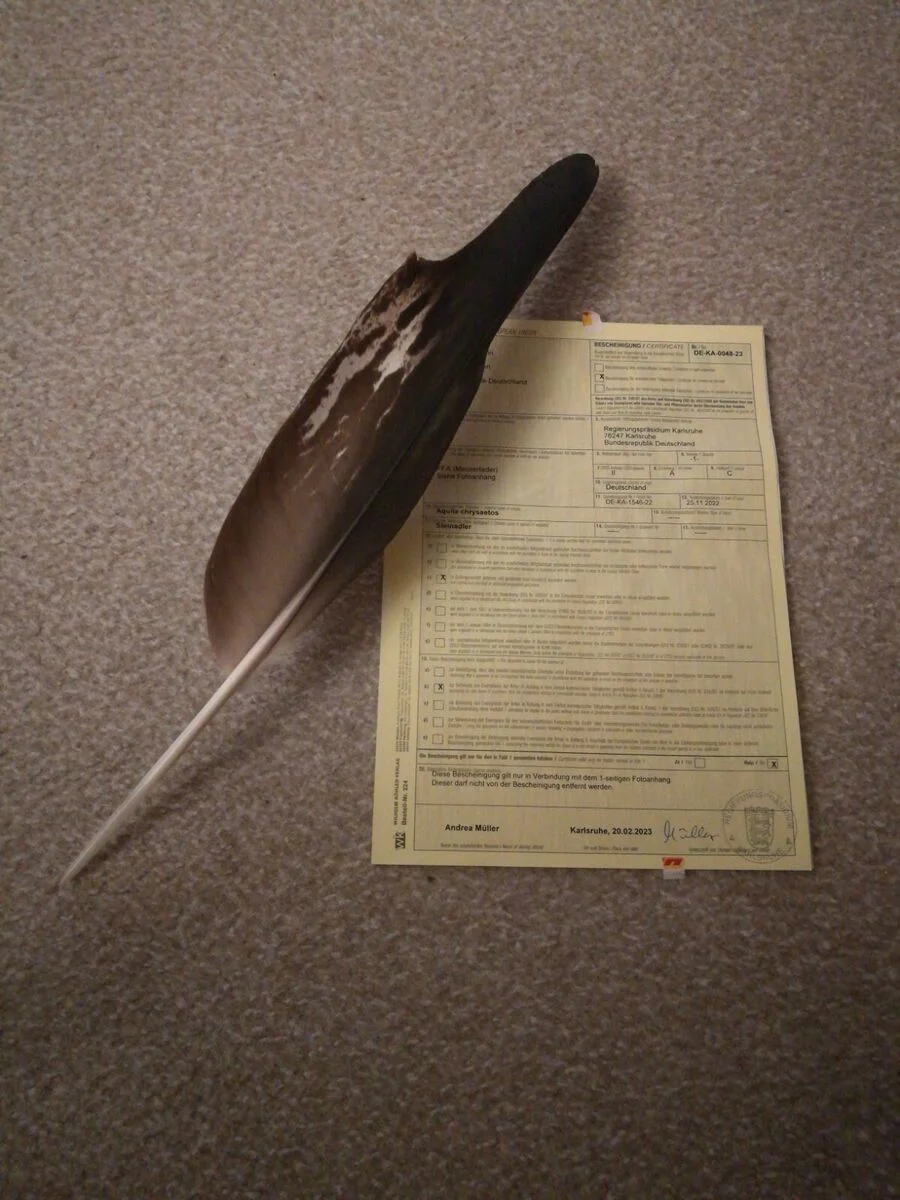 Buy eagle feather with certificate