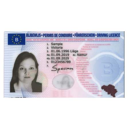 Belgian Driver’s License