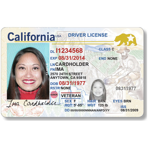 California Driver’s License